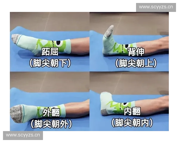运动医学视角下高强度训练损伤预防与科学康复协同机制研究